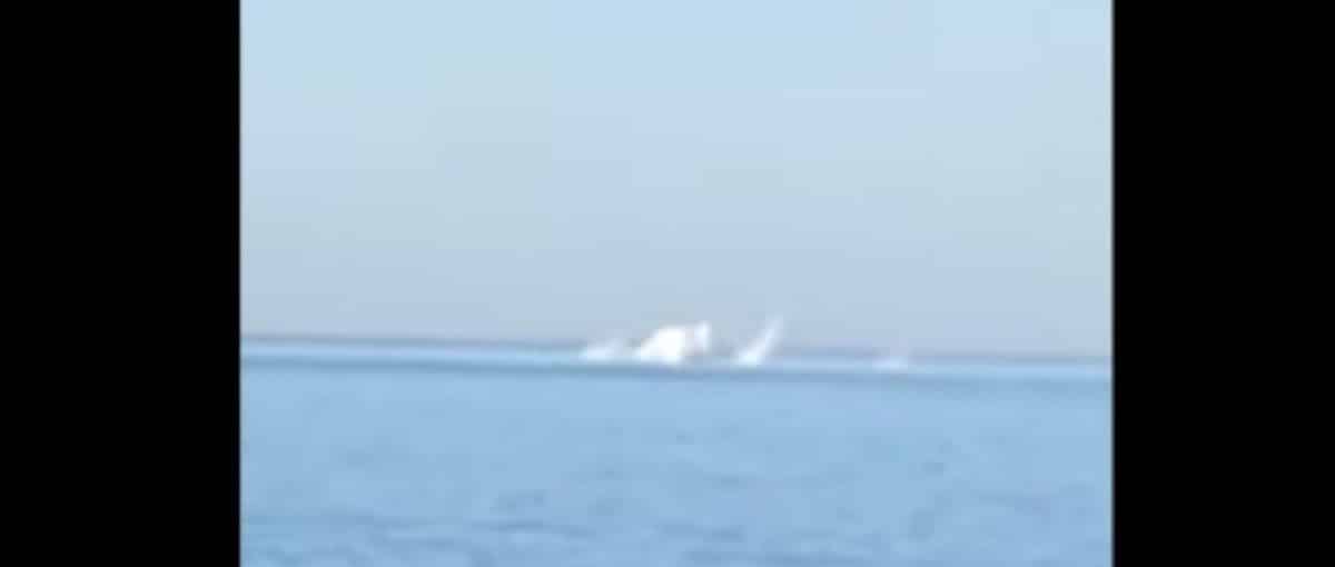 VIDÉO. Un hélicoptère des Garde-côtes s’écrase près de Bouharoun