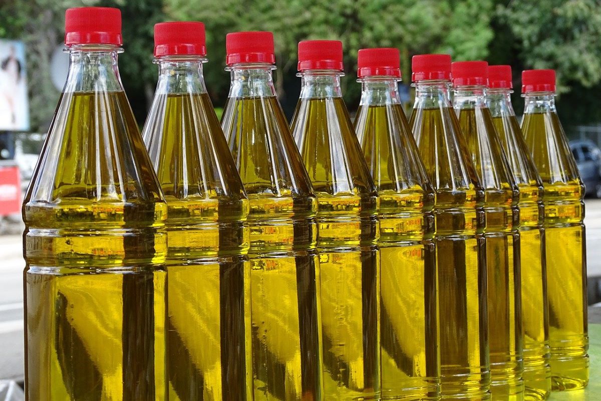 Baisse de la production mondiale d’huile d’olive : l’Algérie fortement touchée
