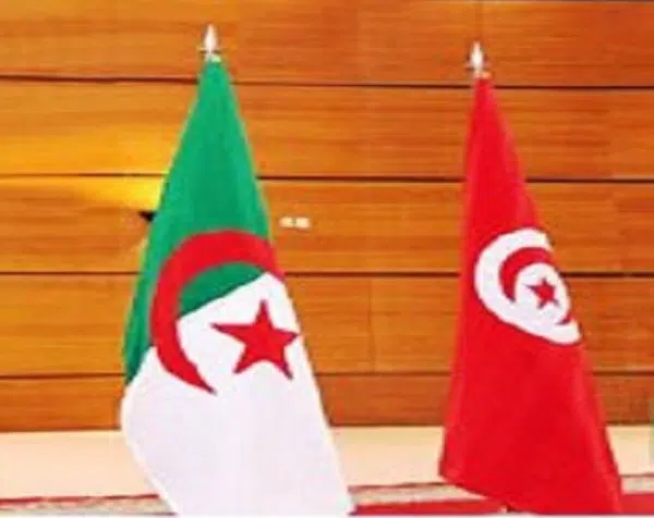 Sucre : l’Algérie vole au secours de la Tunisie