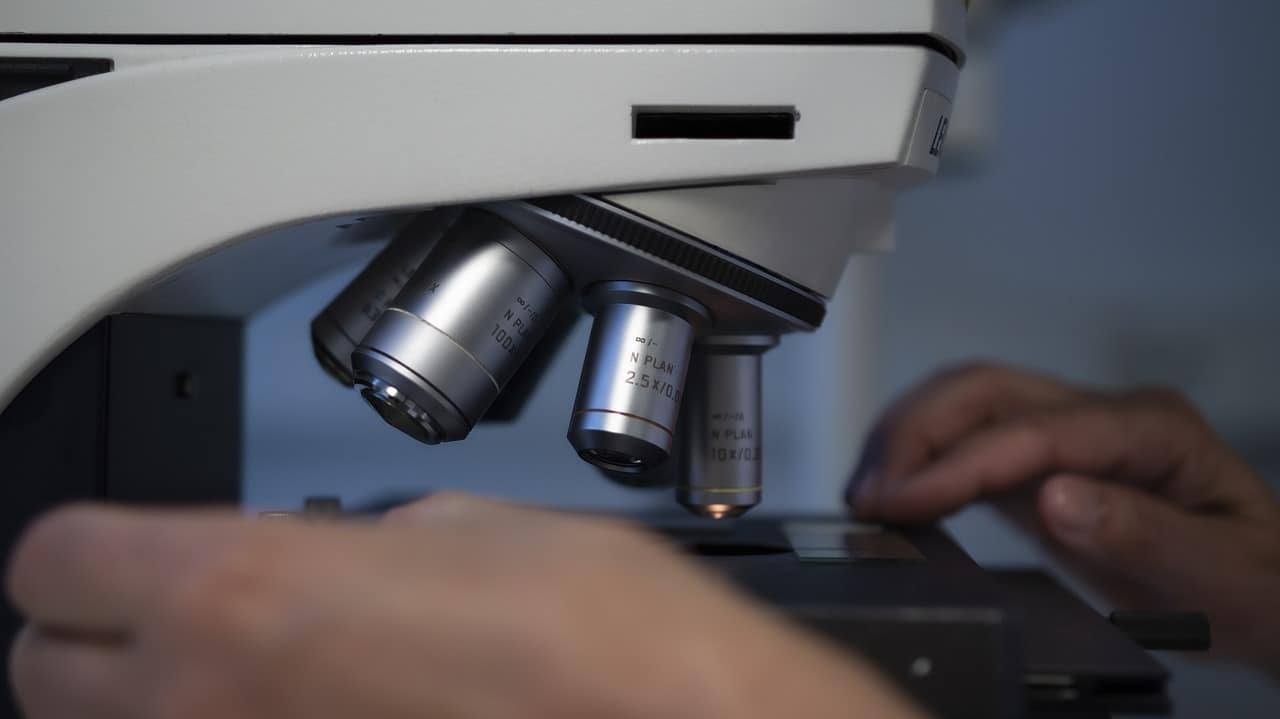 Recherche scientifique en Algérie : le constat cinglant d’un chercheur algérien
