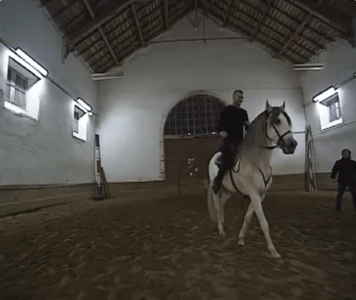 La vidéo de Zidane tombant d’un cheval fait le buzz