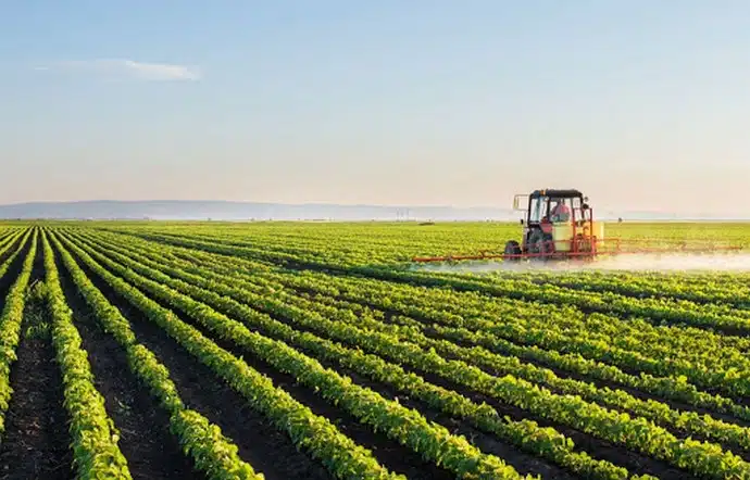 Entre pénurie et abondance, l’Algérie ne sait pas gérer son agriculture