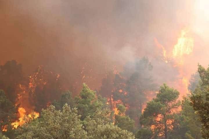 Incendies à Khenchela : plus de 1500 hectares ravagés par les flammes -Vidéos