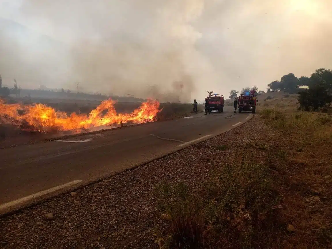 Feux de forêts : des sapeurs-pompiers agressés à Khenchela