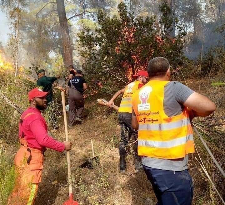 Incendies de Khenchela : la belle leçon des jeunes des Aurès