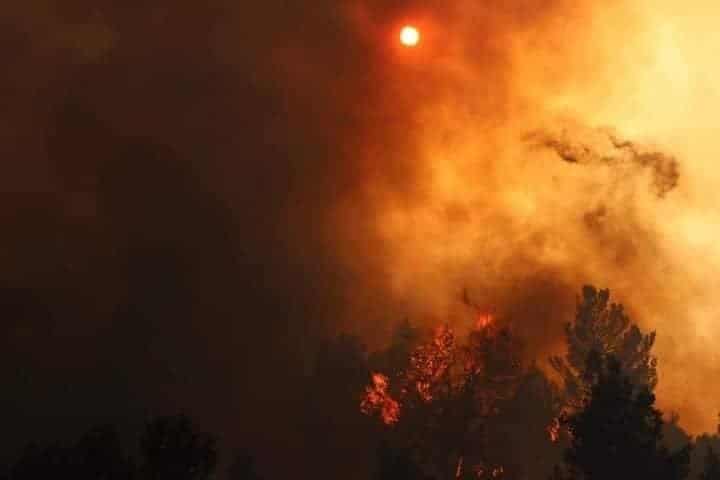 Incendies de Khenchela : retour sur une semaine « infernale »