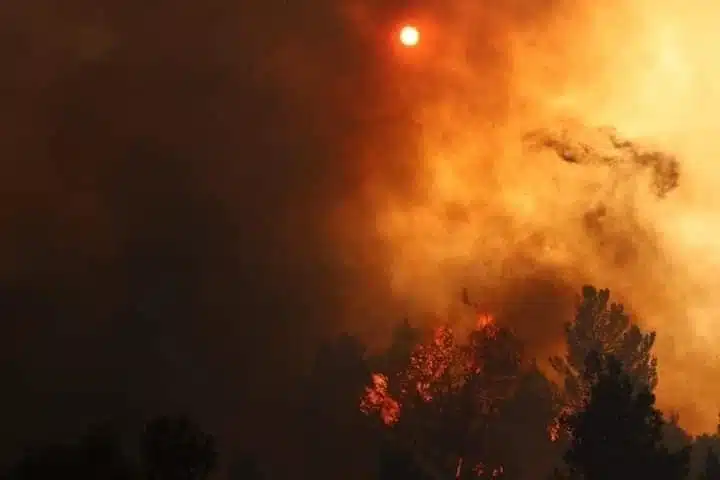 Incendies de Khenchela : retour sur une semaine « infernale »