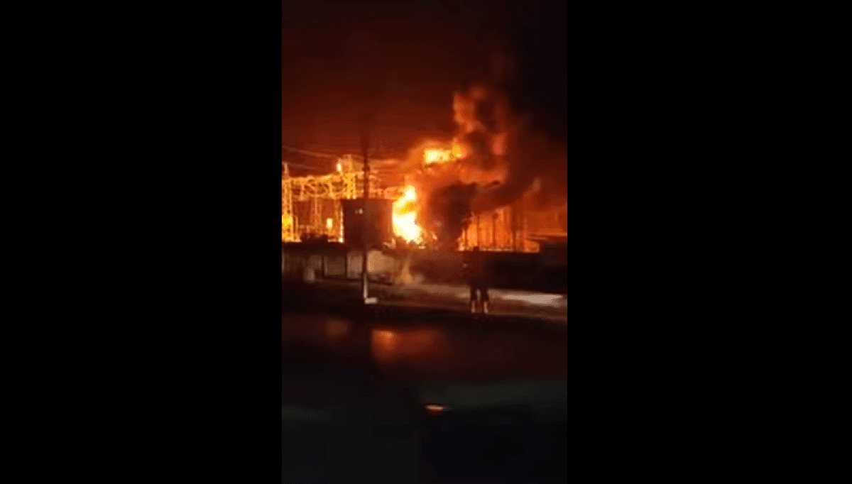 Incendies : près de 800 bâtisses touchées à Tizi-Ouzou