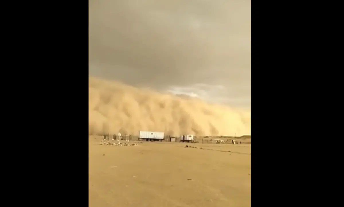 VIDÉO. Impressionnante tempête de sable dans le sud algérien
