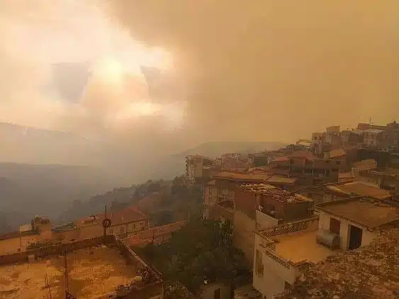 Ils ont sauvé 101 citoyens : des militaires morts dans les incendies en Kabylie