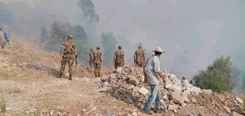Feux de forêts : les soldats de l’ANP en renfort dans 4 wilayas