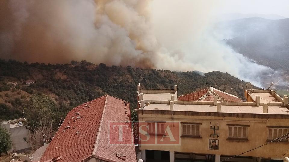Incendies à Tizi Ouzou : voyage au cœur de l’enfer