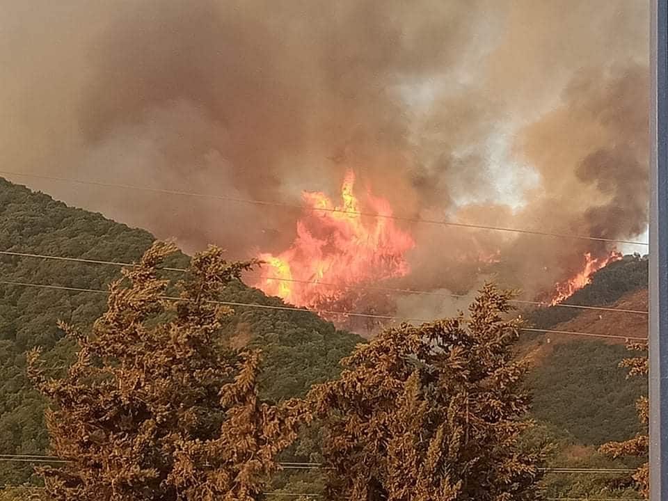 Plus d’un quart des forêts d’Algérie ravagées par le feu durant l’été 2021