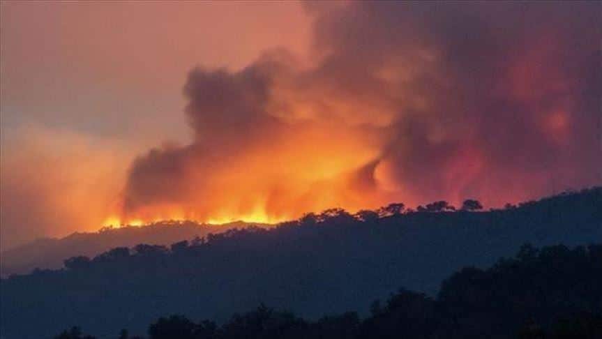 DIRECT – Incendies en Algérie, 7e jour : suivez les dernières infos
