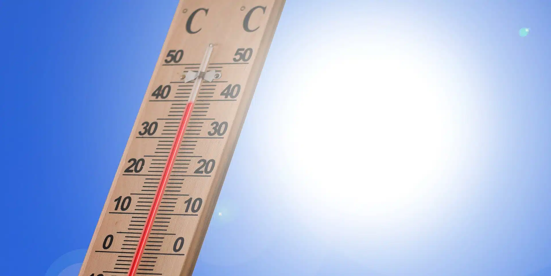 Canicule en Algérie : une étude met en cause le changement climatique