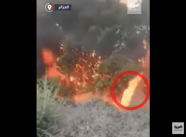 VIDÉO. Des flammes qui se déplacent comme des « êtres vivants »