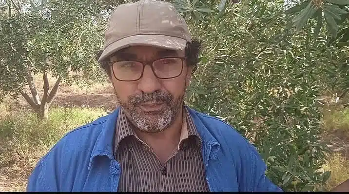 Huile d&rsquo;olive : le pari gagnant d’un investisseur à Djelfa