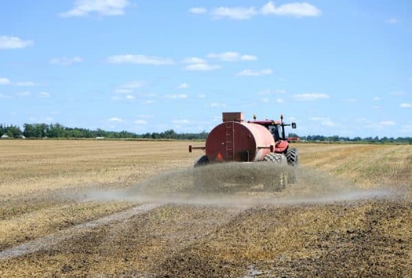 Production d’engrais azotés en Algérie : un atout pour les céréales