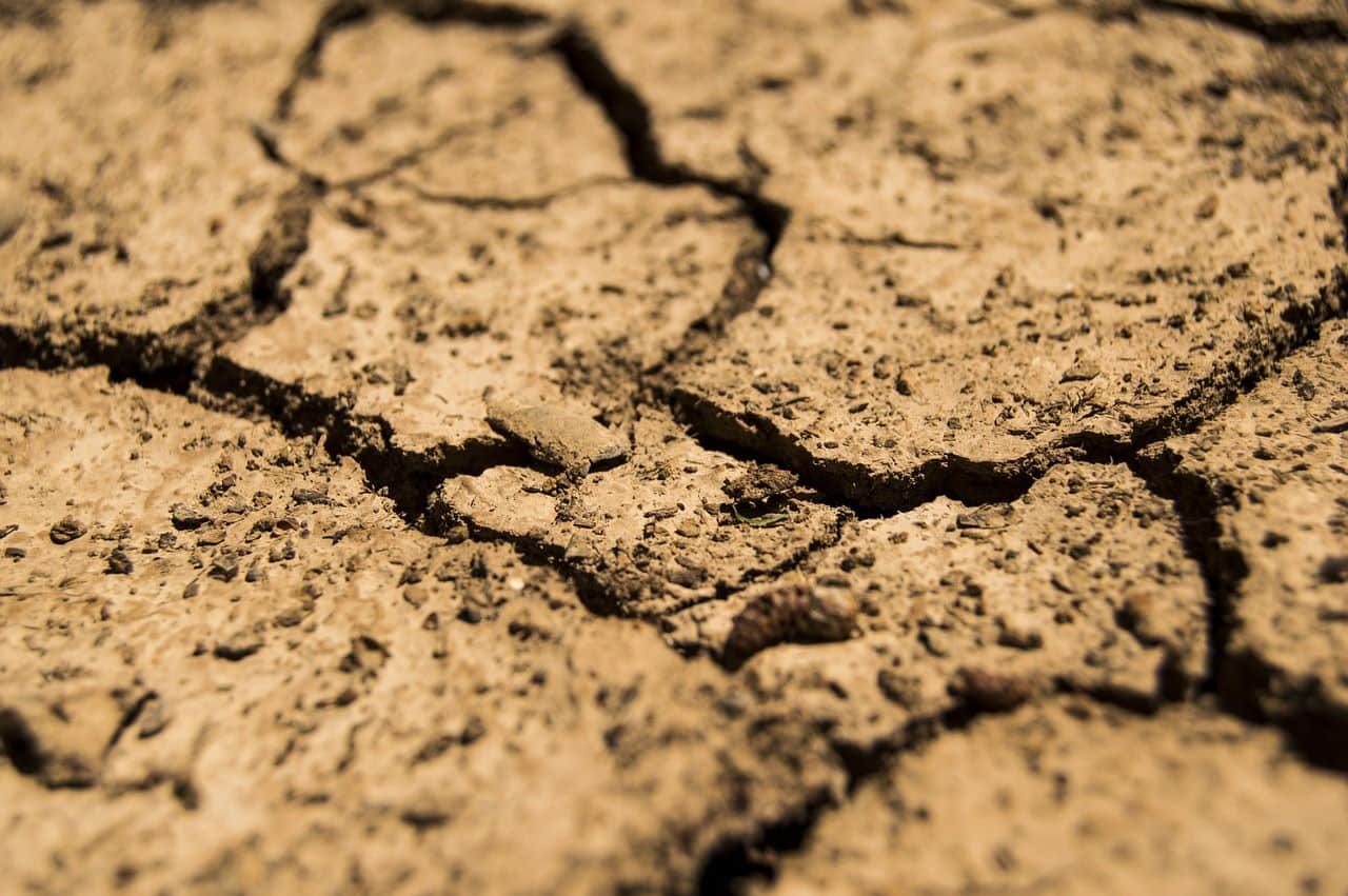Manque de pluie en Algérie : « On est en danger »