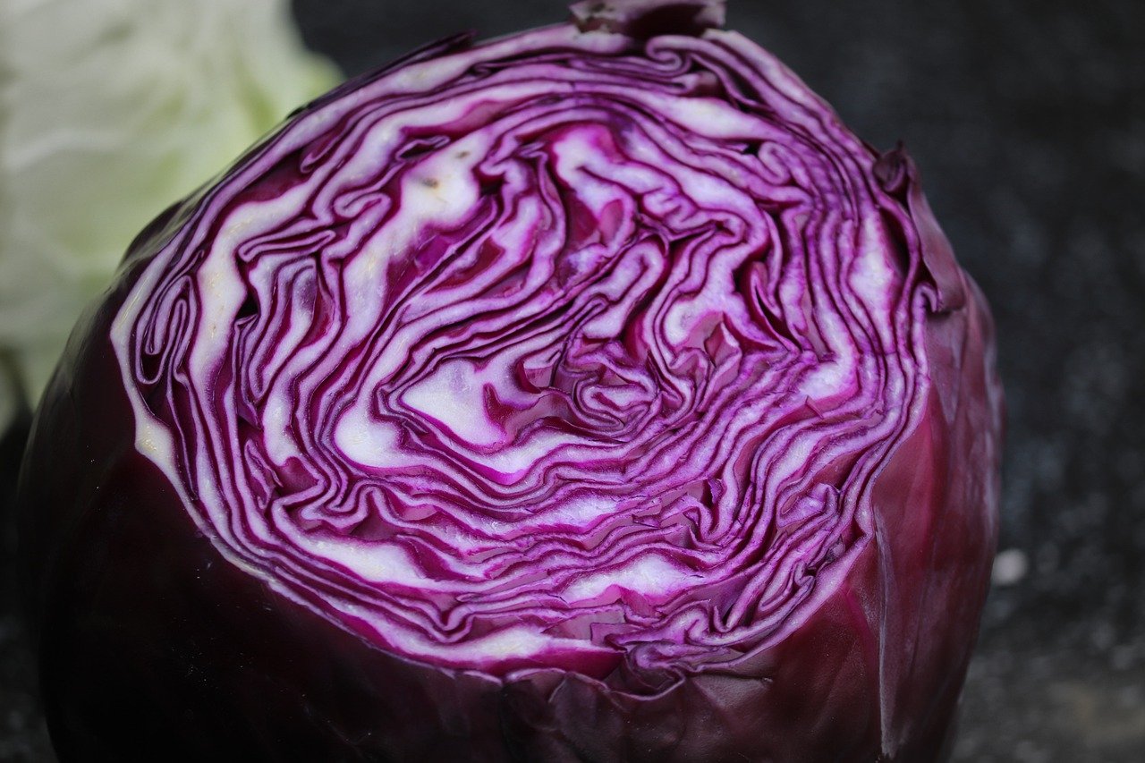 Chou rouge : les bienfaits insoupçonnés de ce légume d’hiver