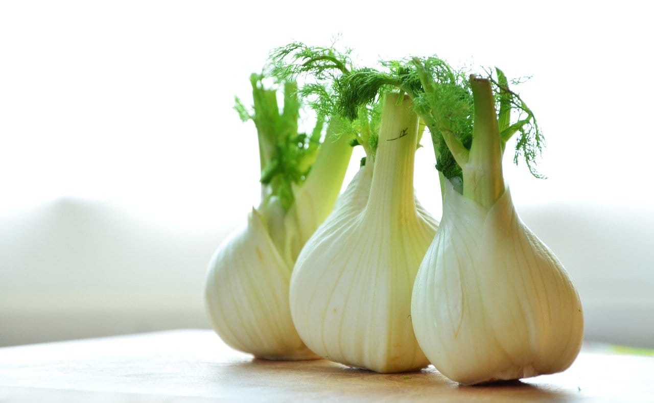 Fenouil : les bienfaits et les conseils d’une nutritionniste