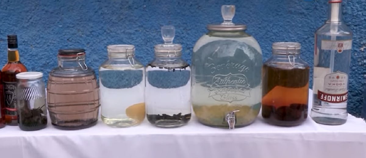 VIDÉO. Il fabriquait de la vodka dans sa maison à Batna