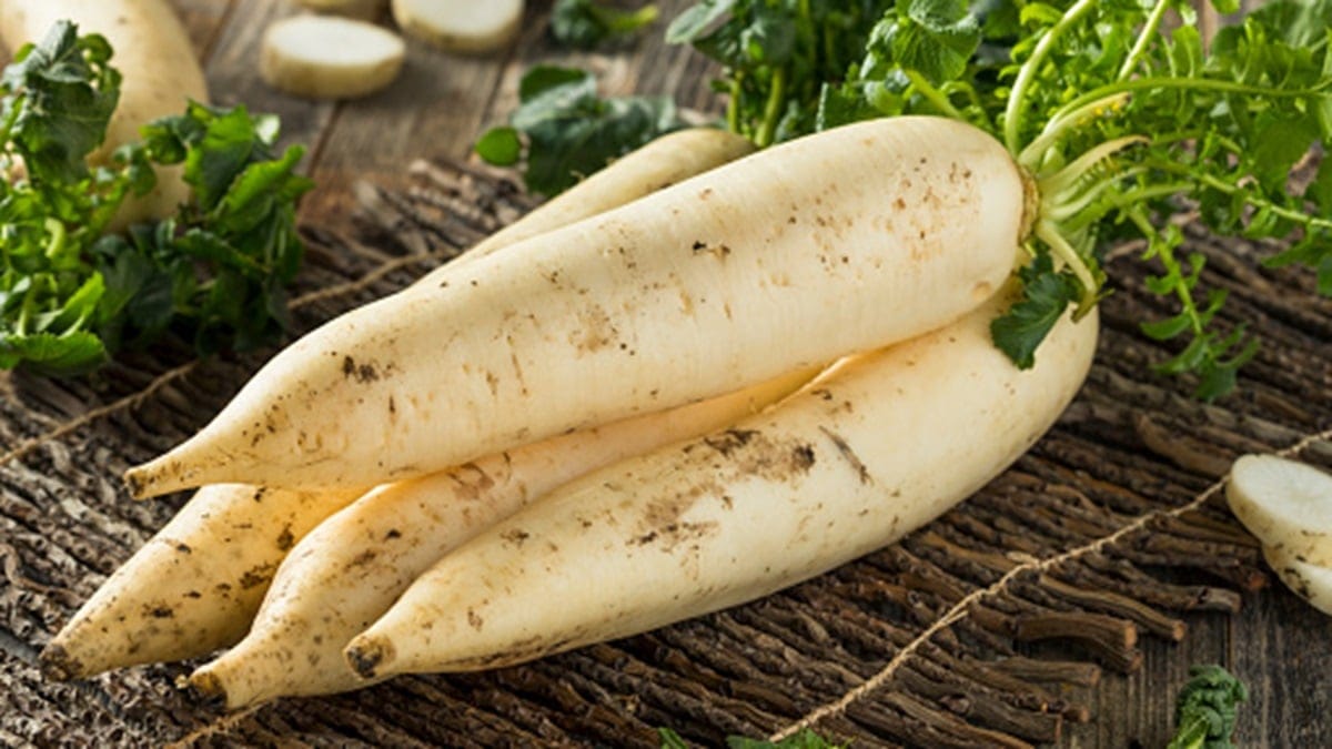 Nutrition : le navet, les bienfaits méconnus de ce légume d’hiver