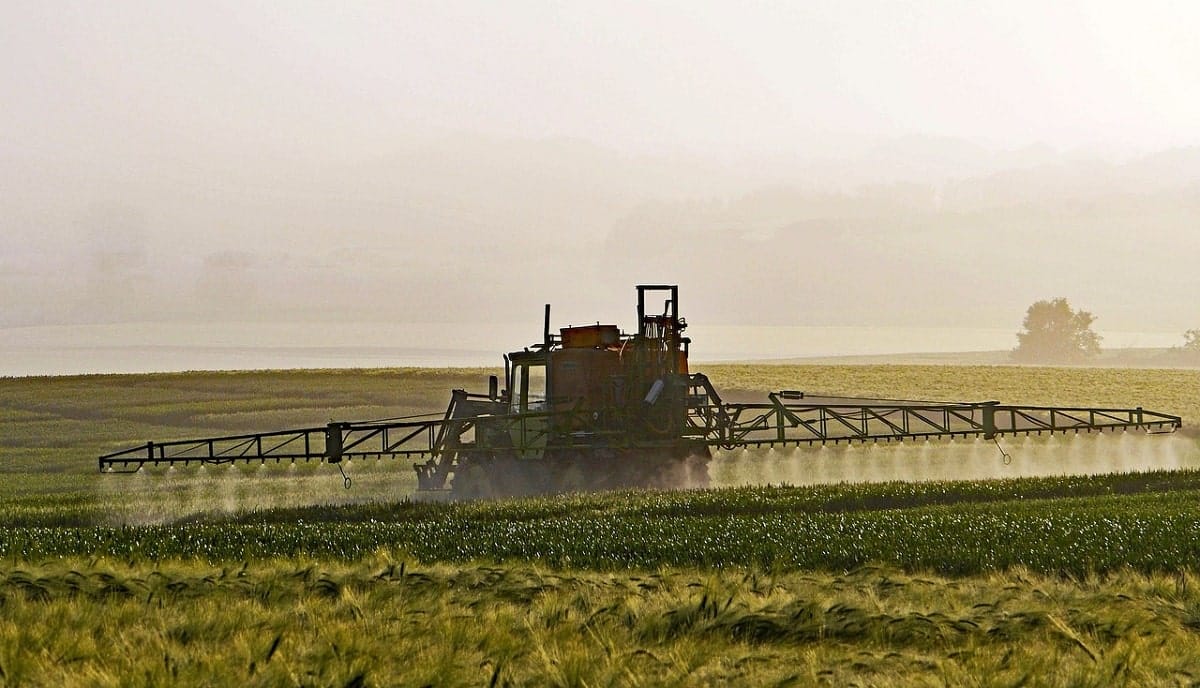 Le patrimoine génétique agricole et animal algérien en danger