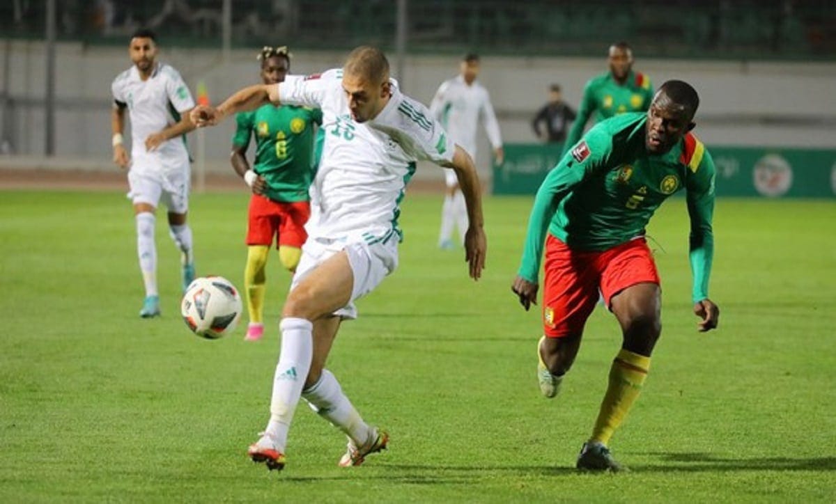 Affaire Algérie-Cameroun : à qui la faute ?