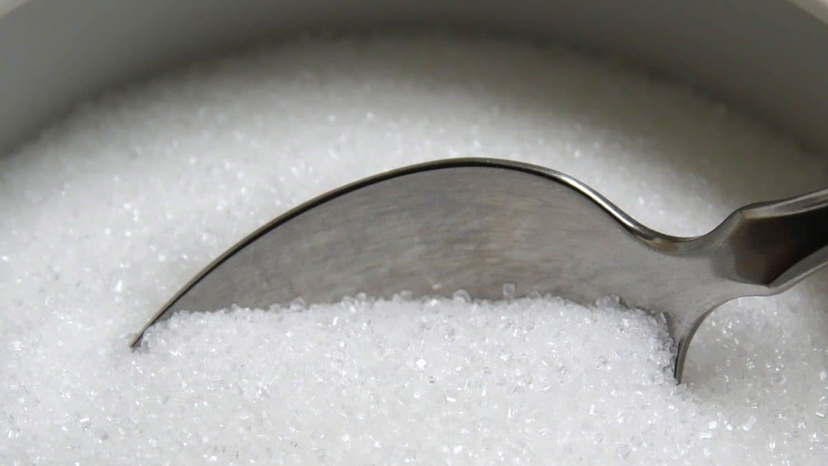 Interdiction d’exporter le sucre par l’Algérie : le Liban veut être exempté