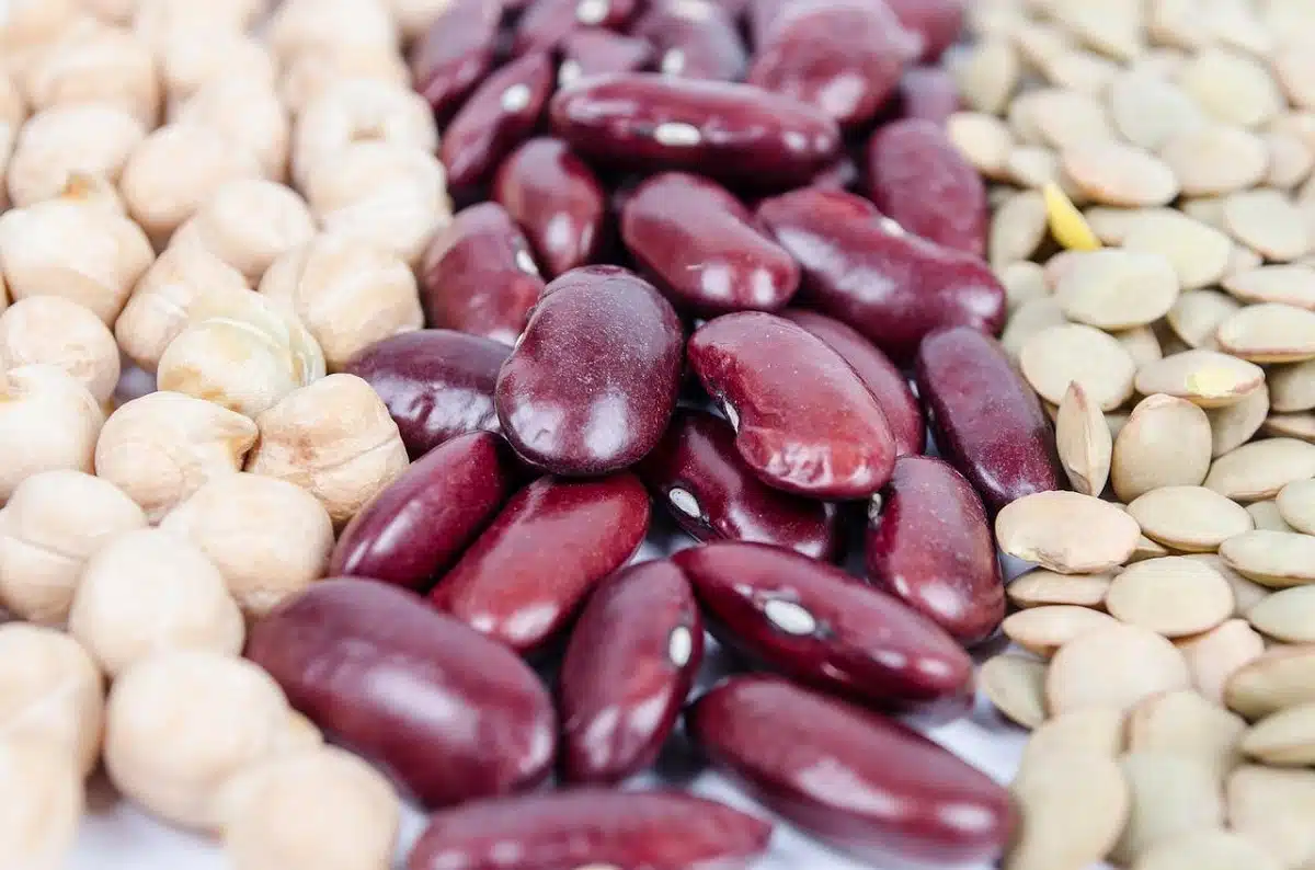 Légumes secs : pourquoi l’Algérie est à la traîne