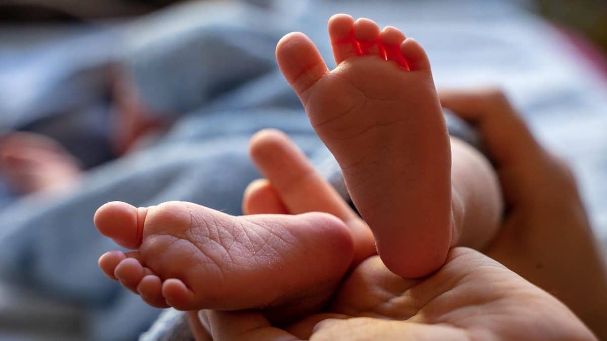 PMA en Algérie : une solution inédite pour les couples infertiles