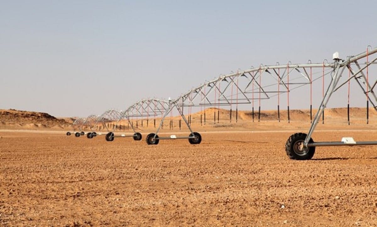 Agriculture saharienne : l’Algérie sollicite les Américains