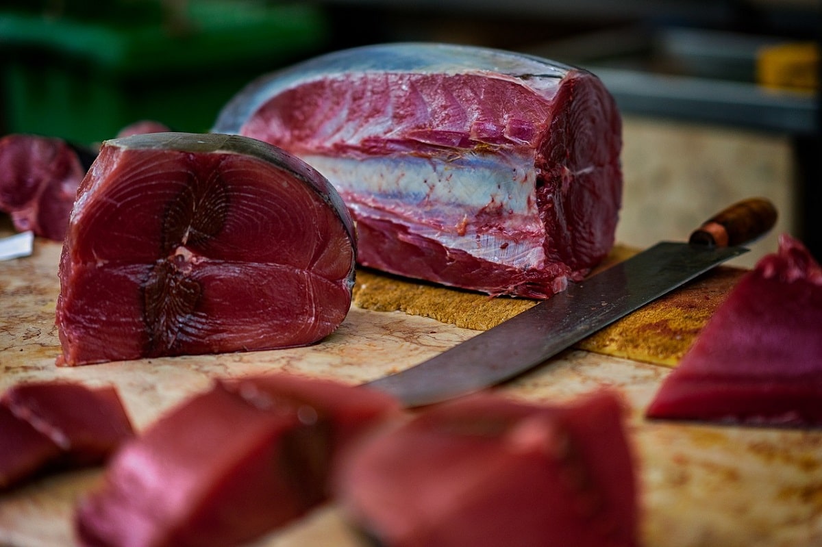 Bienfaits, recettes, risques : tout savoir sur le thon frais