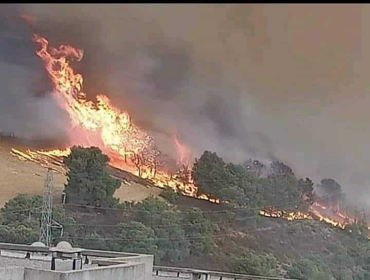 Incendies : des habitants fuient les flammes à Souk Ahras – Vidéo