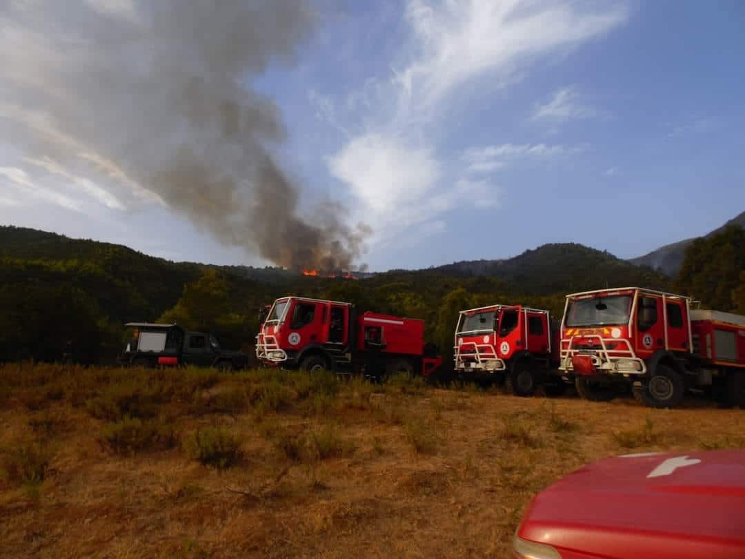 Incendies en Algérie : le point sur la situation ce mardi 16 août