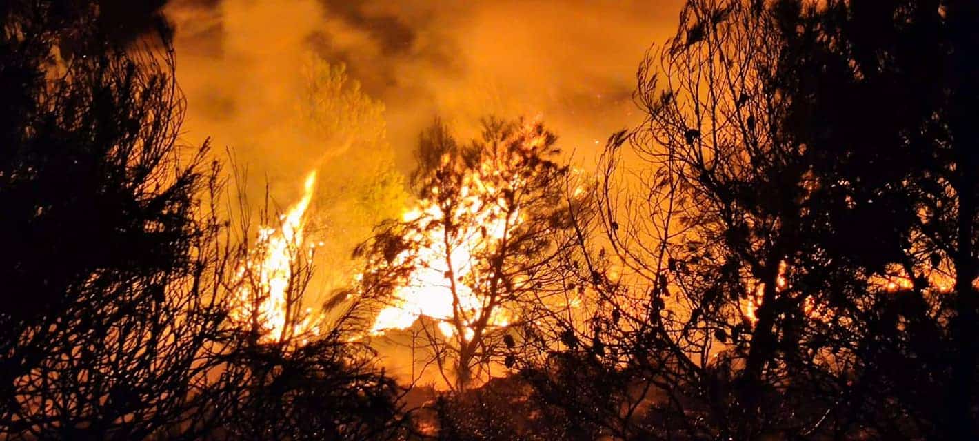 Incendies en Algérie : un bilan lourd et des interrogations