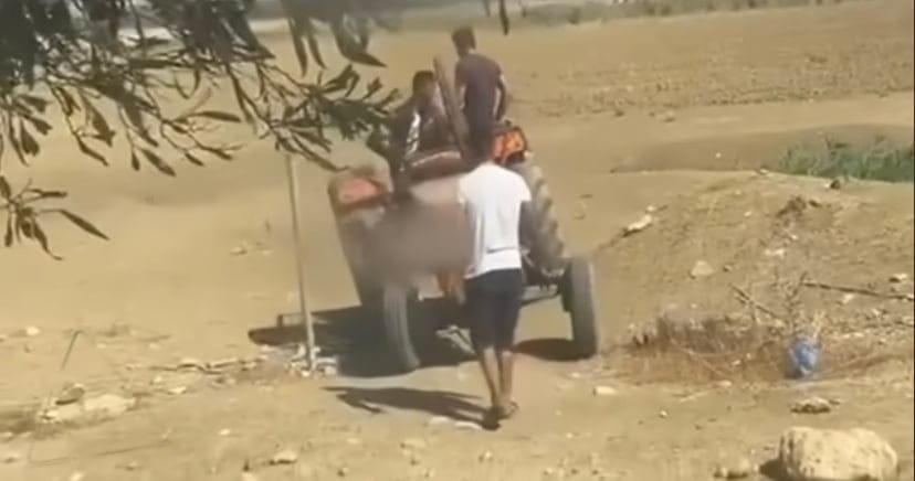 VIDEO. Vols d’avaloirs : scène surréaliste sur l’autoroute est-ouest