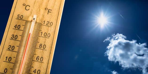 Canicule : les explications de Météo Algérie