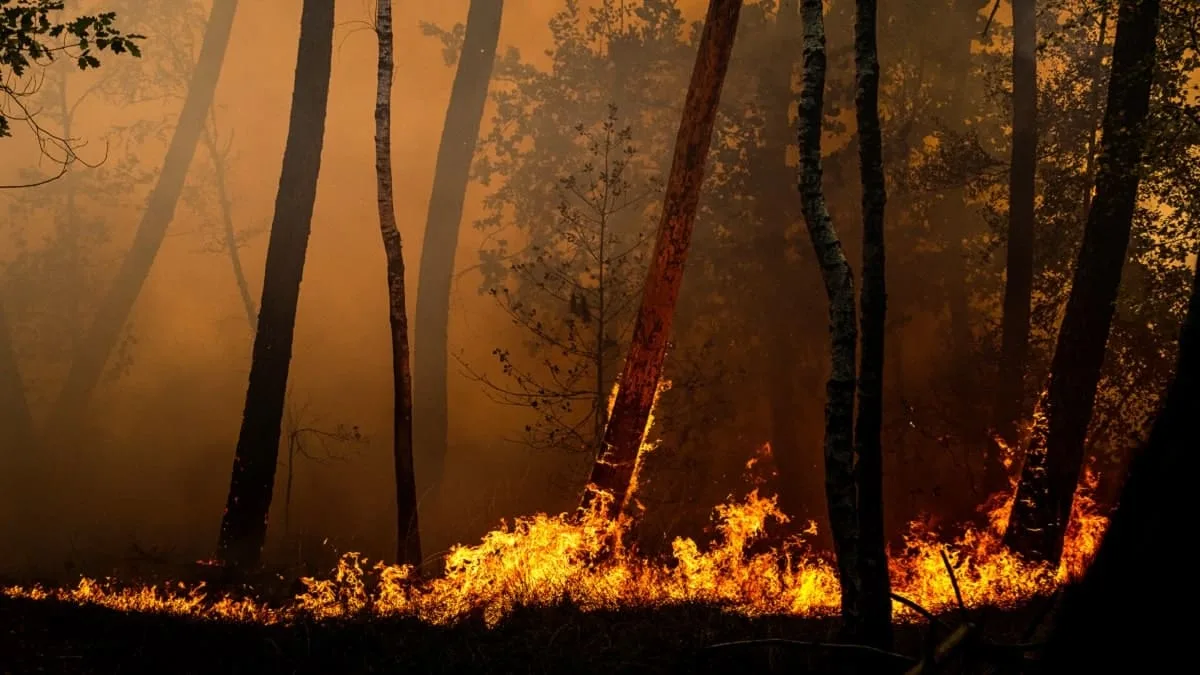 Inondations, incendies : l’Algérie au cœur des enjeux climatiques
