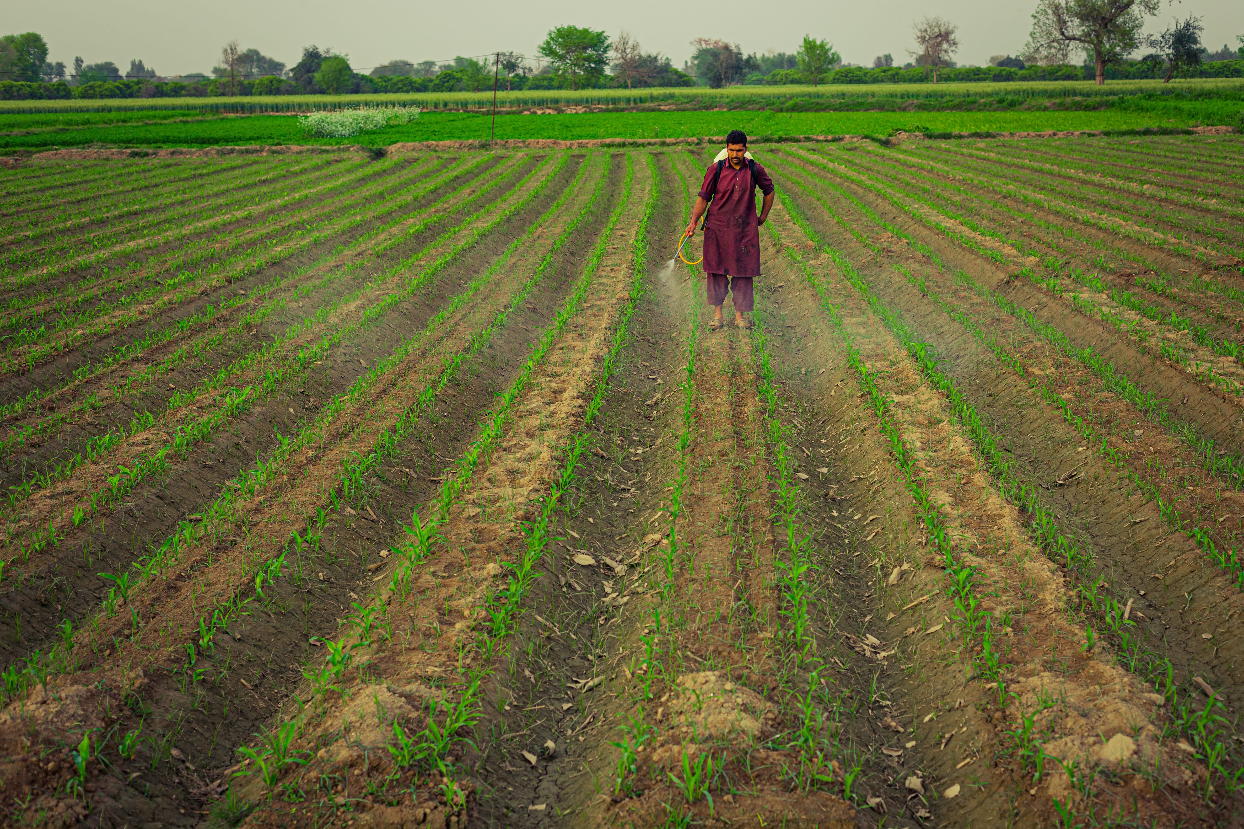 Agriculture : l’échec du modèle marocain