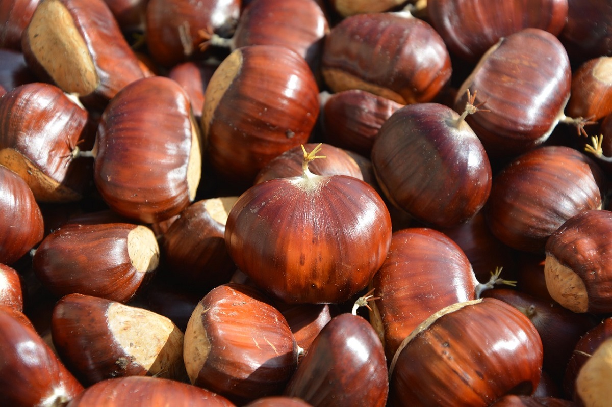 Ce qu’il ne faut pas oublier avant de faire cuire les marrons