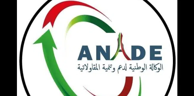 L’ex-Ansej reprend le financement des projets et annonce des poursuites contre les escrocs