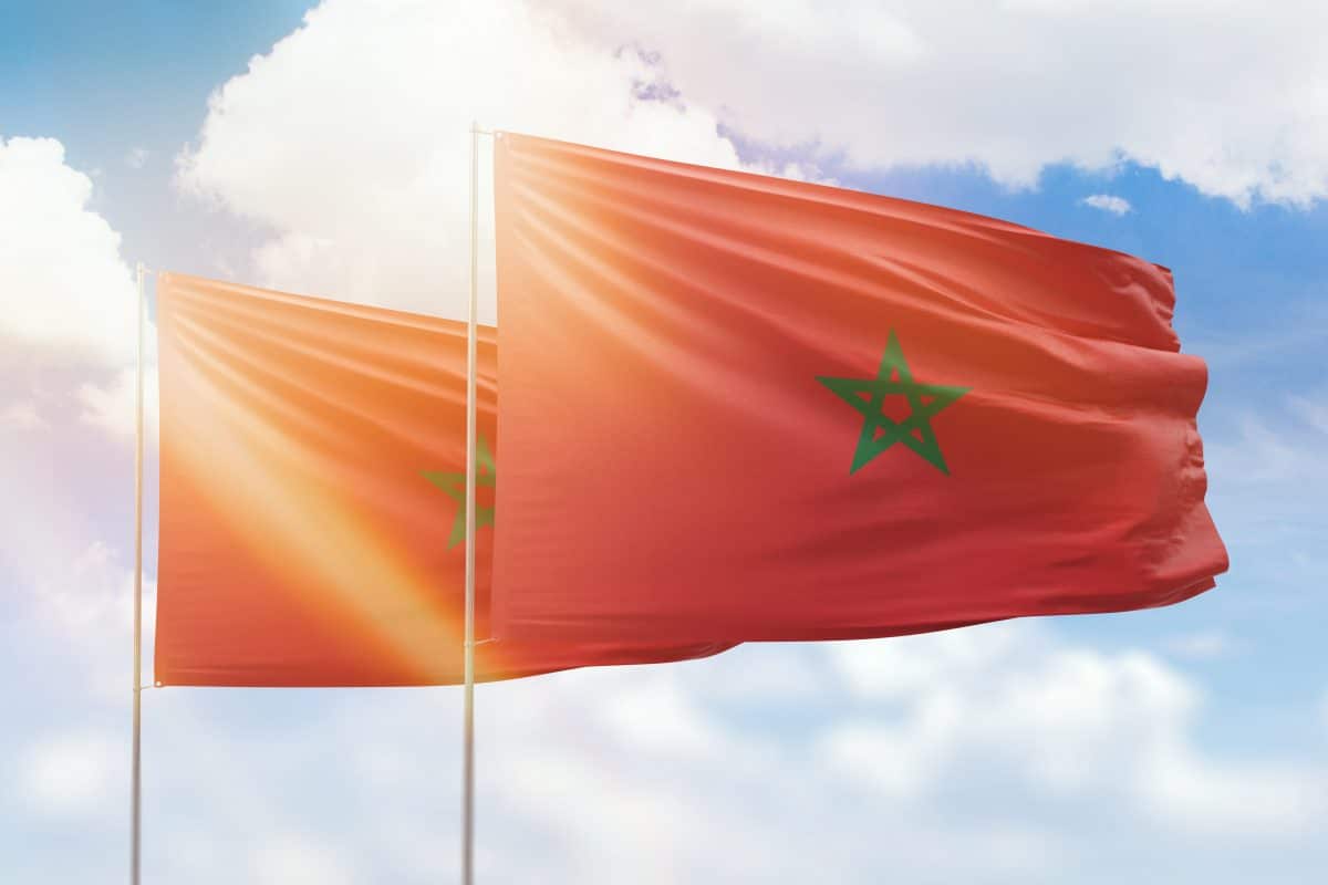 Corruption : José Bové raconte le mode opératoire du Maroc