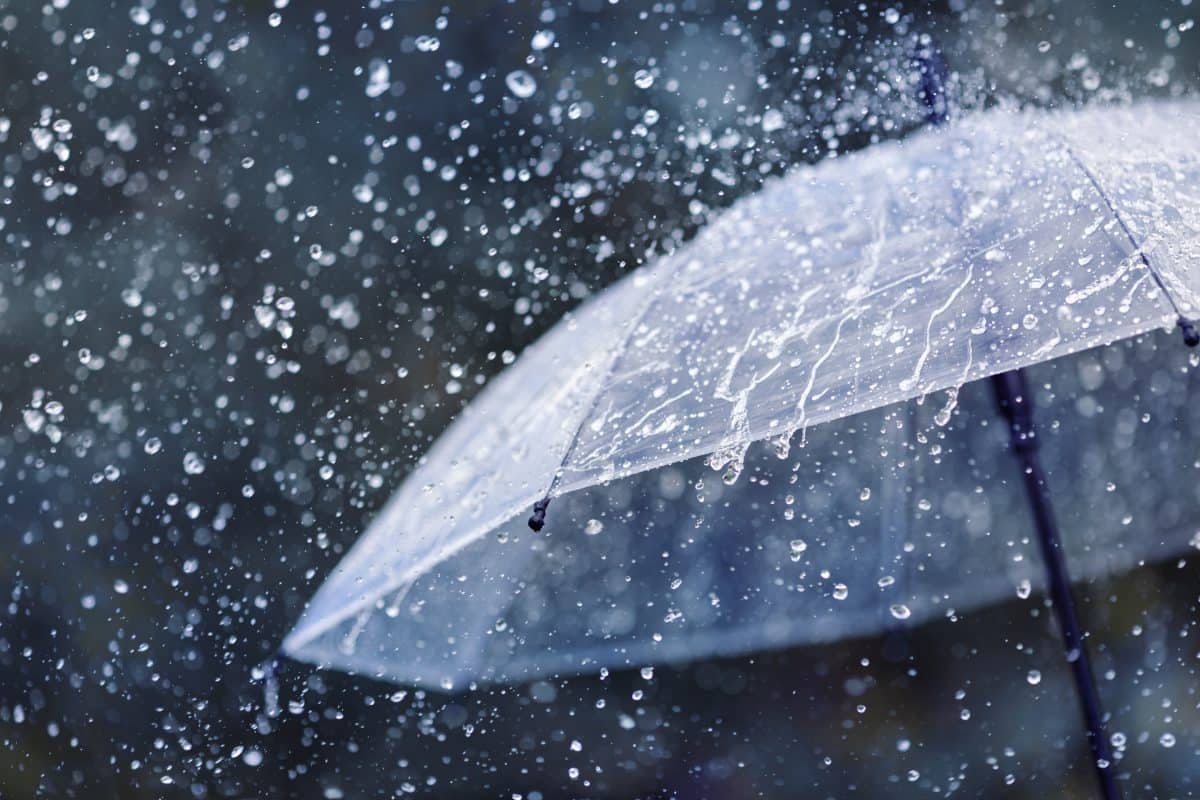 Algérie : comment retenir l’eau des pluies ?