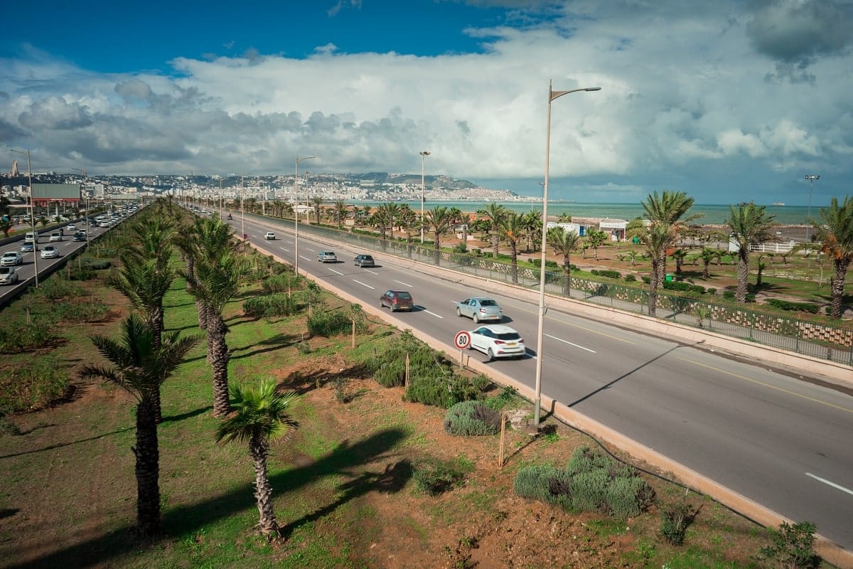 Assurance auto en Algérie : les assureurs veulent une hausse des prix