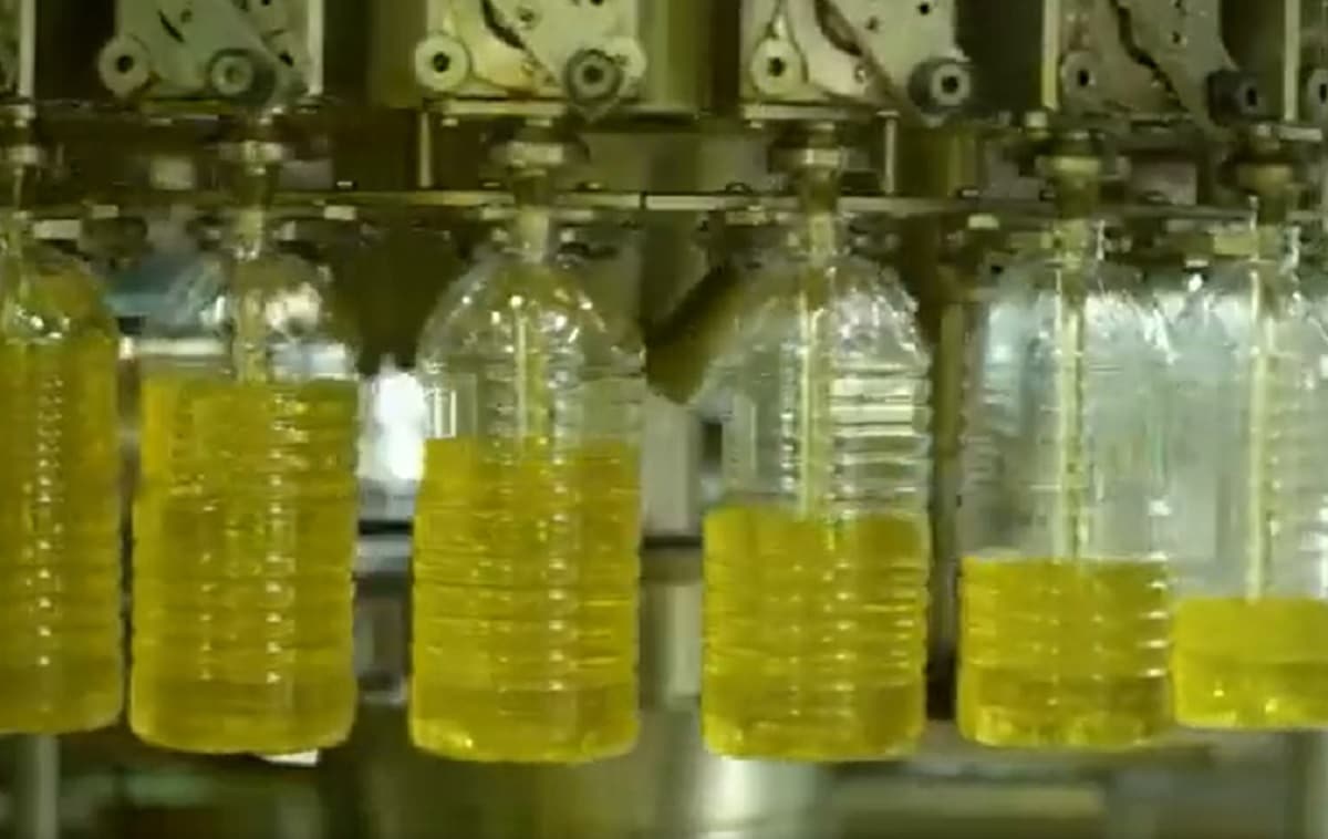 L’usine de trituration de Cevital : un projet stratégique pour l’Algérie