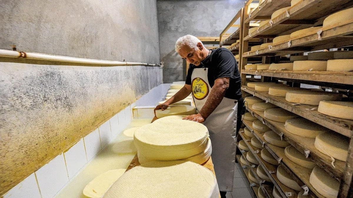 Fromage : Rachid Ibersiene annonce une « première mondiale » en Algérie (Vidéo)