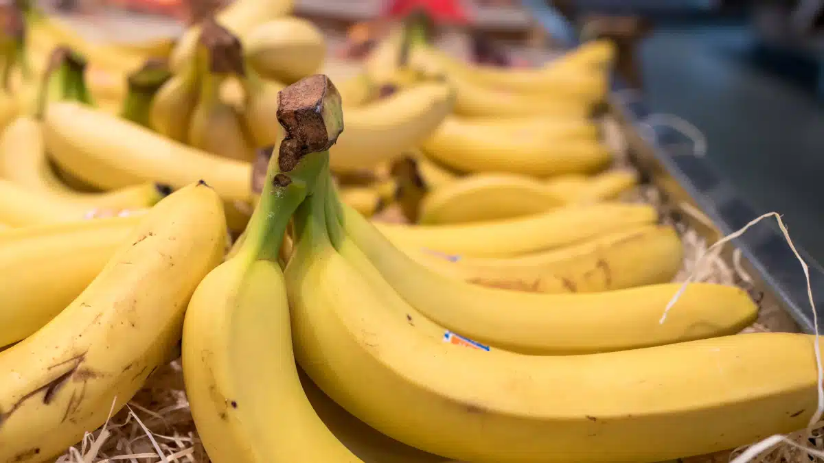Hausse du prix de la banane en Algérie : Zitouni accuse des « parasites »