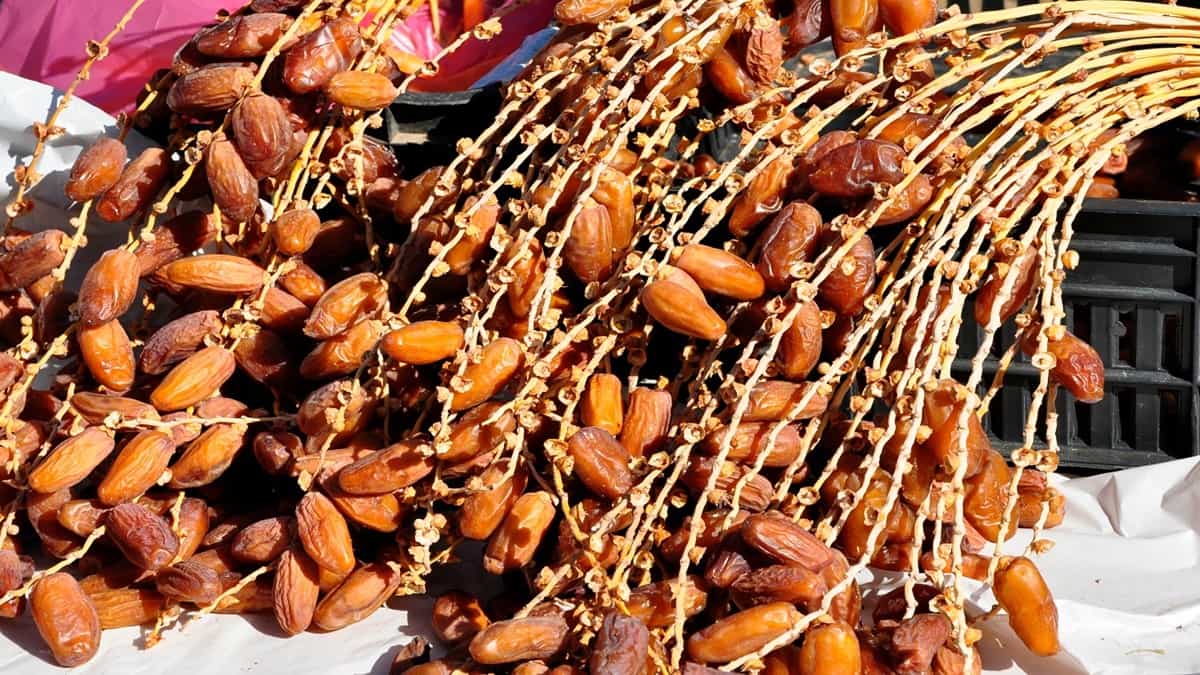 Ramadan 2024 : les dattes algériennes indésirables au Maroc